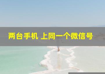 两台手机 上同一个微信号